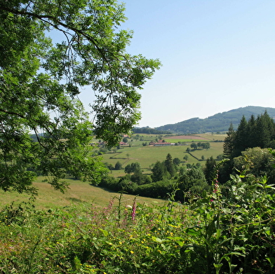 Circuit des Etangs