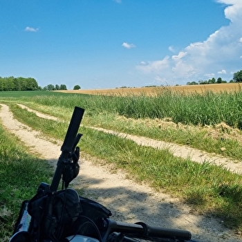 Circuit VTT n°24 (rouge) - La St Martin - MONTREVEL-EN-BRESSE