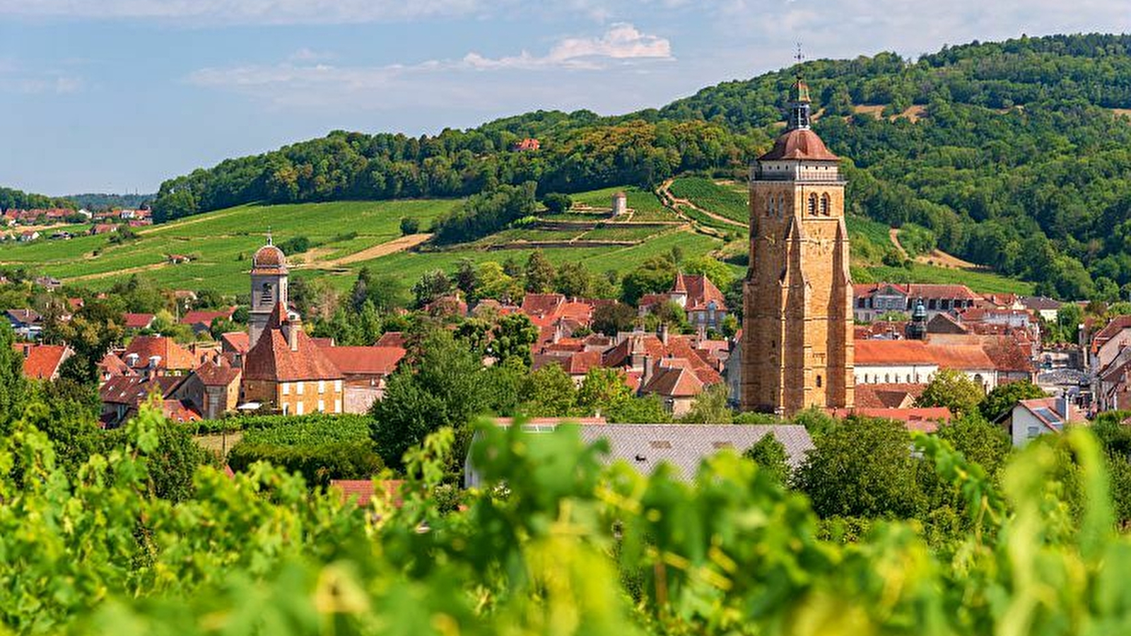 Escapade dans le JURA : terroir et comté