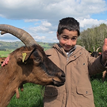 Ferme des Avoineries - GIBLES