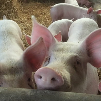 La Ferme des Acacias