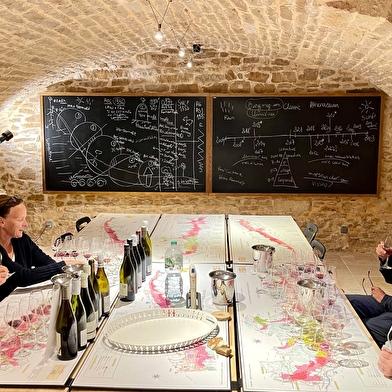 Burgundy Wine School®