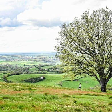 Le Mont Dardon