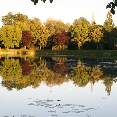 Lac de Fretterans