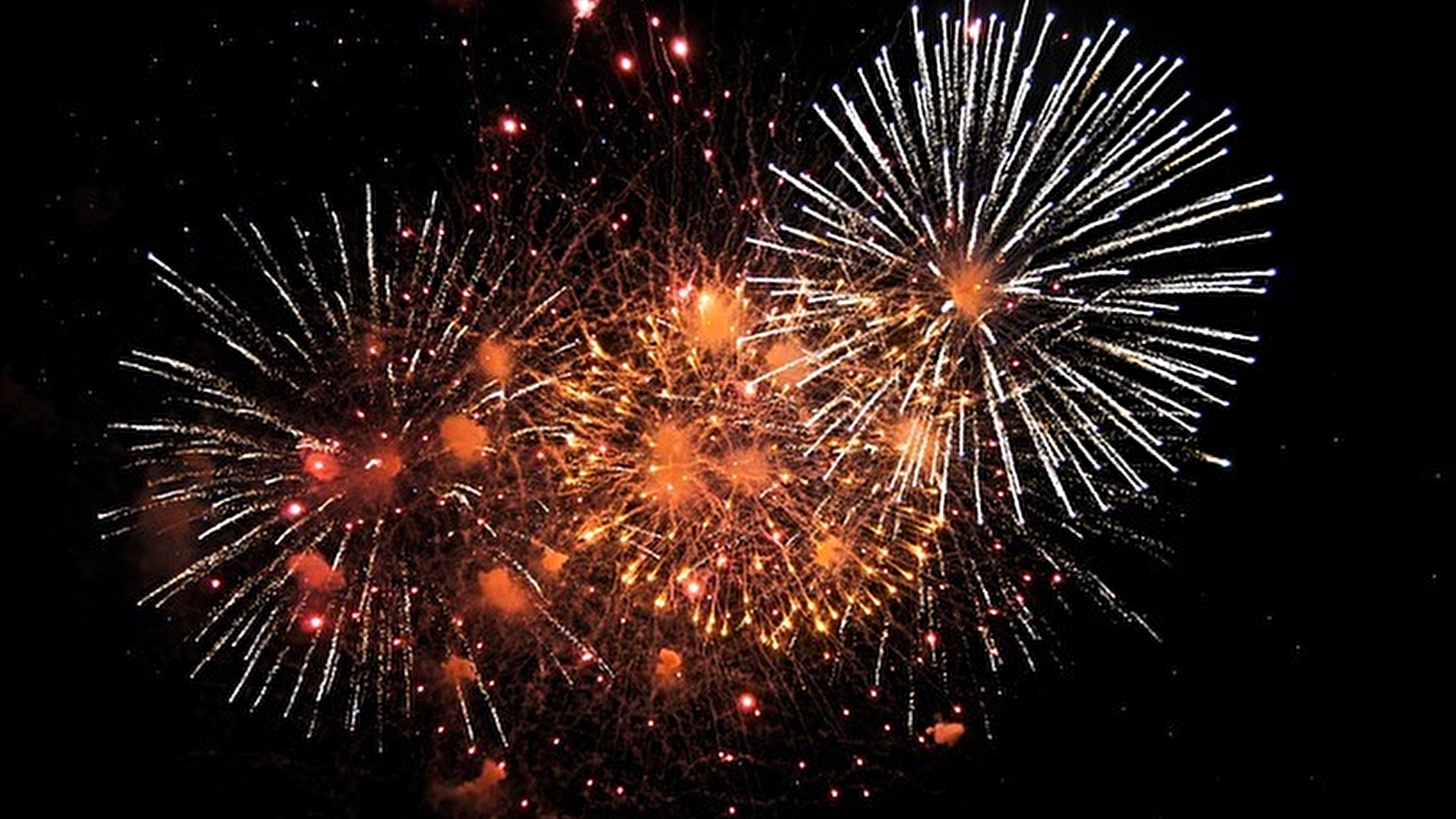 Concert, spectacle de feu et feux d'artifices