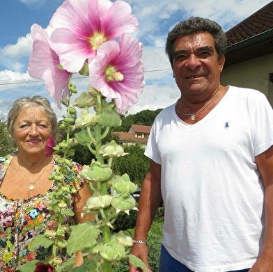 Chambres d'hôtes - la maison dans la vigne