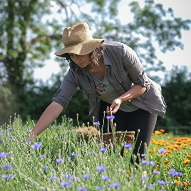 Une ferme florale à Simandre