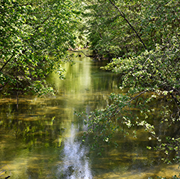 Rand'eau au Parc national de forêts - VOULAINES-LES-TEMPLIERS