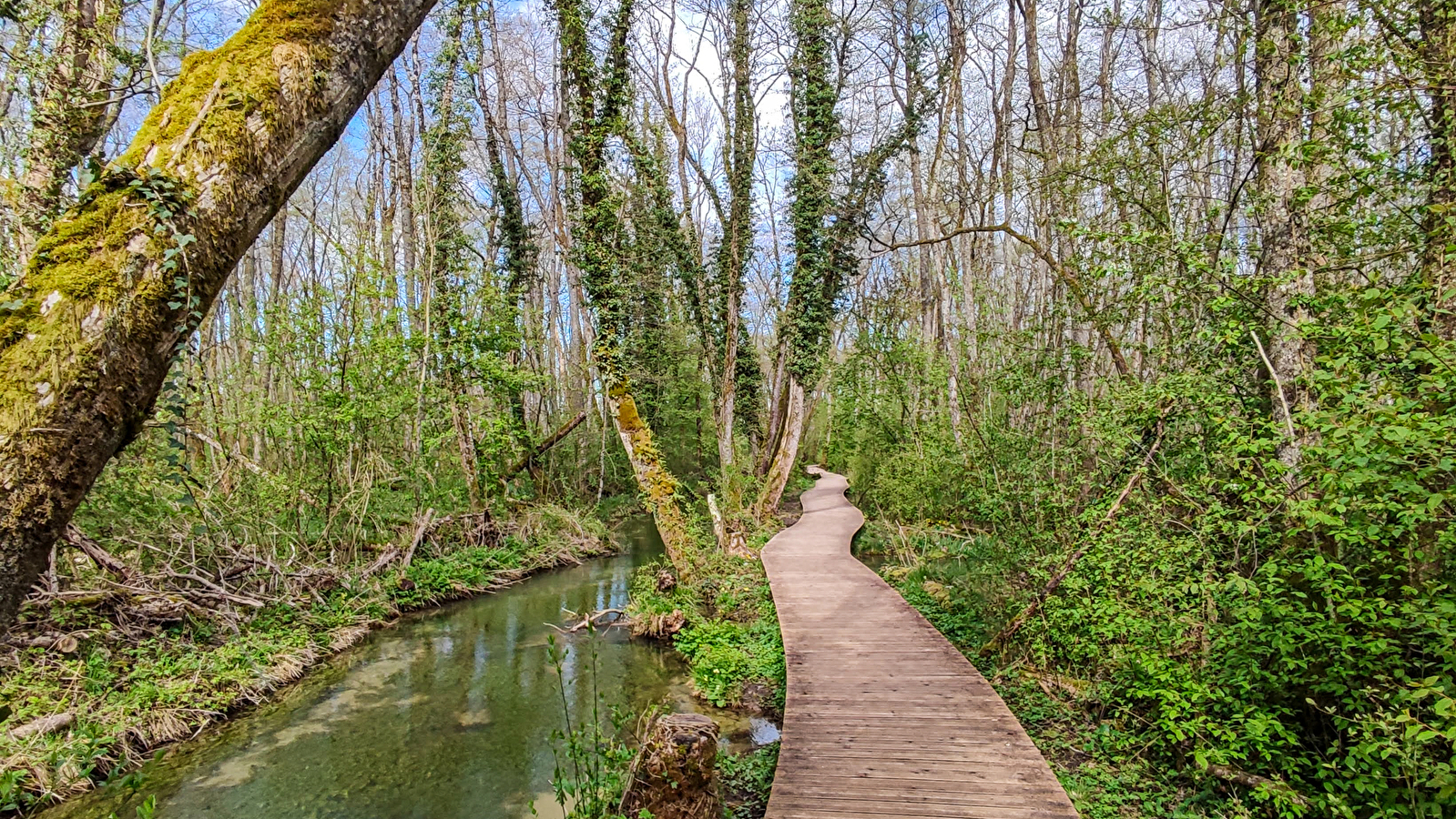 Randonnée pédestre : Marais des Bidonnes et Canal de Crans