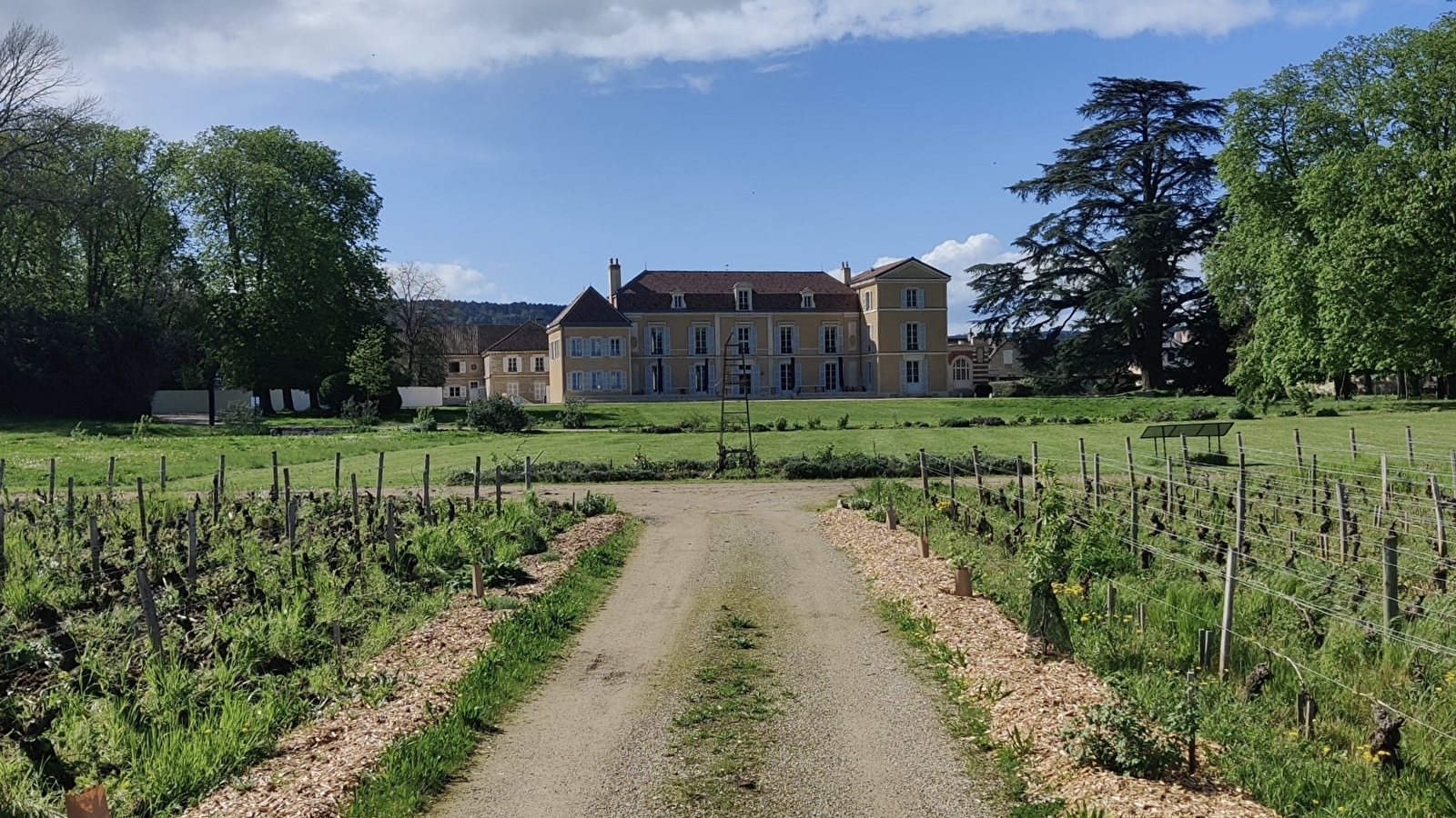 Château de Meursault - Dégustation 'Vente des Vins 2025'  de 6 vins de la Côte de Beaune