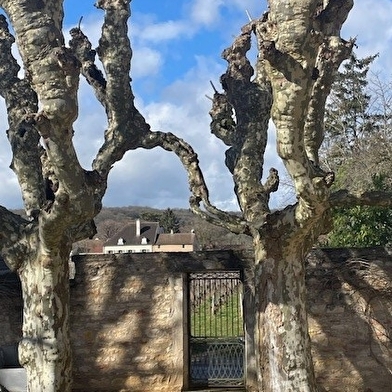 Saynètes autour du vin