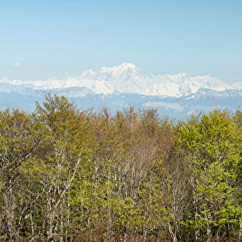 Parcours VTT rouge N°40 - Boucle de Sur-Lyand - Espace FFC Ain Forestière - CORBONOD