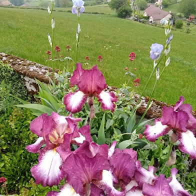 La Maison du Potager