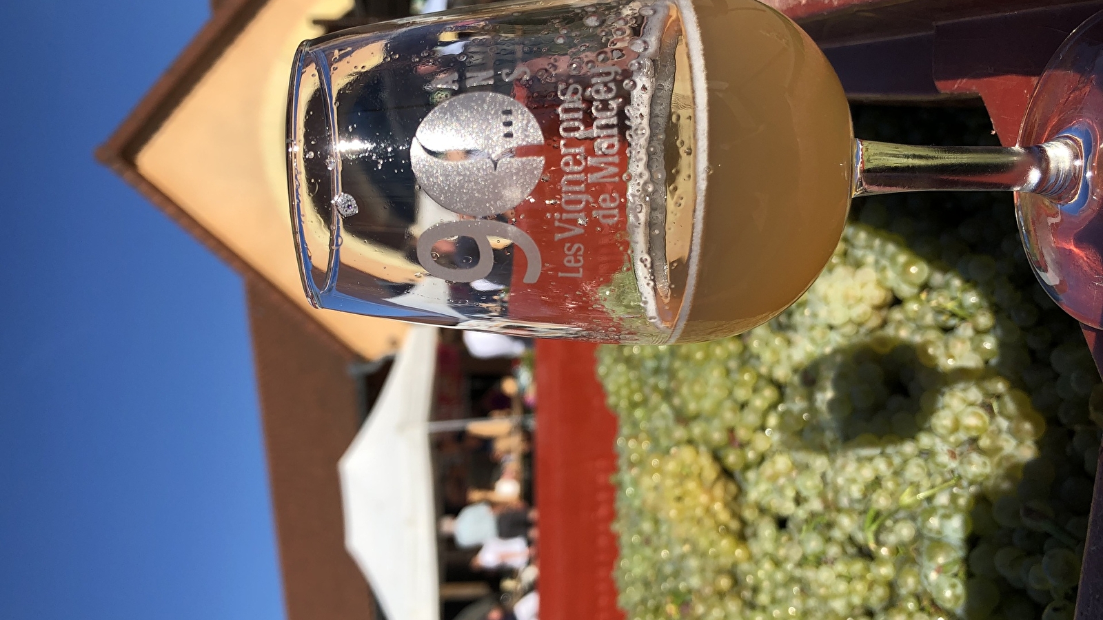 Fête des vendanges - Week-end vin doux