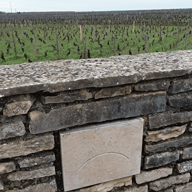 Éveil des 5 Sens à Vosne-Romanée