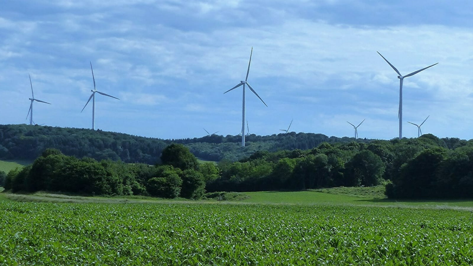 Sentier de découverte des éoliennes de Fontenelle-Montby