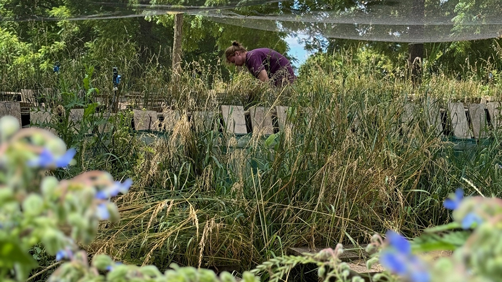 Visite des parcs à escargots et dégustation de produits de la ferme