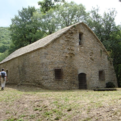 Balade - Ruines du château de Montfort