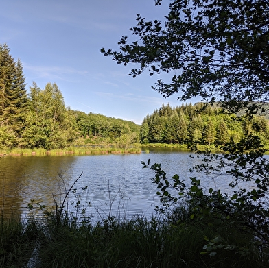 Le Grand Rosbeck