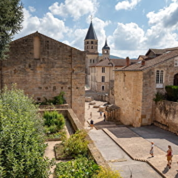 Le végétal dans Cluny du Moyen-âge à nos jours - CLUNY