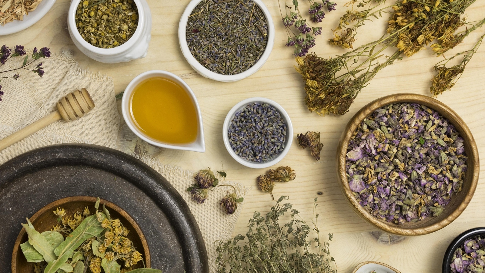 Atelier Aventures Mômes : Nos amies les plantes