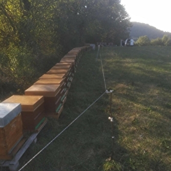 Miels de l'Abeille des Lacs - CHARCIER