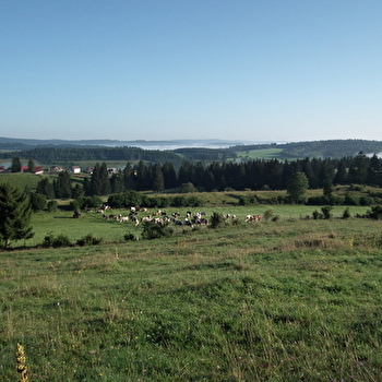 Les Chalets - LES VILLEDIEU
