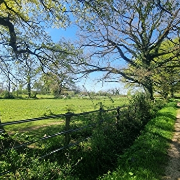 Liaison VTT (L4) St Trivier de Courtes - Ferme de la Forêt - SAINT-TRIVIER-DE-COURTES