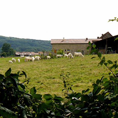 Gîte Le Champ d'En Haut