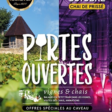 Visite du Vignoble en Petit Train 