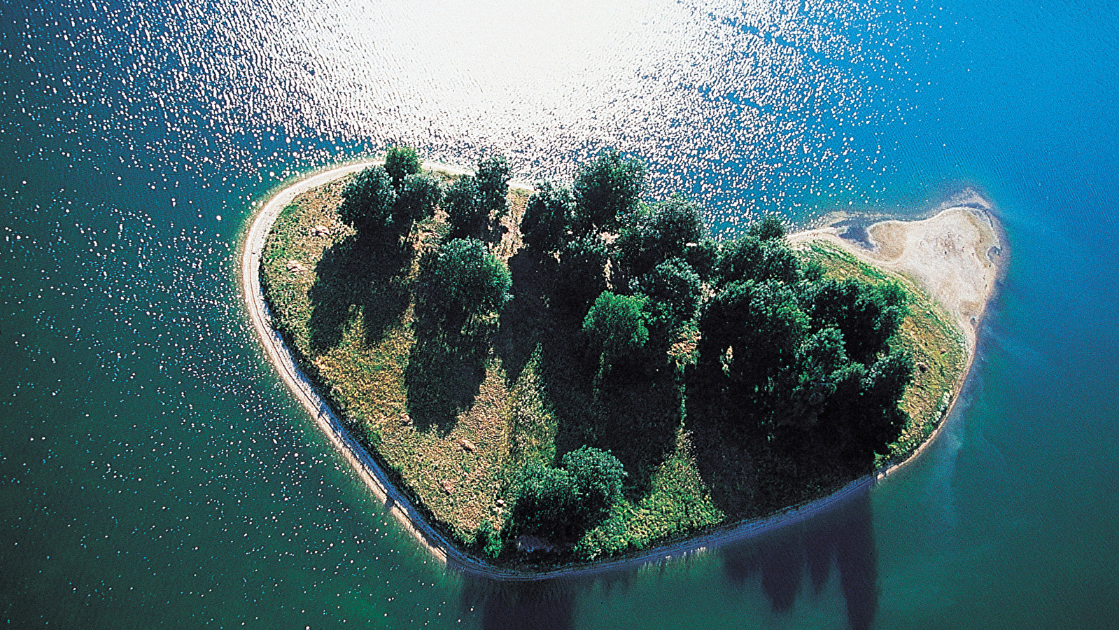 Visites de la Réserve écologique des Maillys