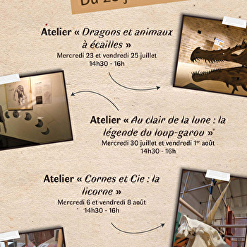 Visite - atelier : Dragons et animaux à écailles - MONTBARD