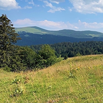 Les Platières - SEPTMONCEL LES MOLUNES