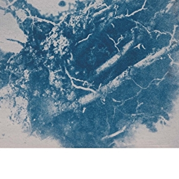 Nocturnes - Cyanotypes -Joanna Letchimy - VILLENEUVE-SUR-YONNE