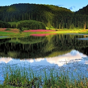 Lac de l'Embouteilleux - LA PESSE