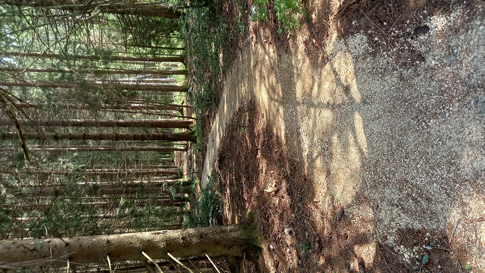 Coupe de Bourgogne Franche-Comté - VTT