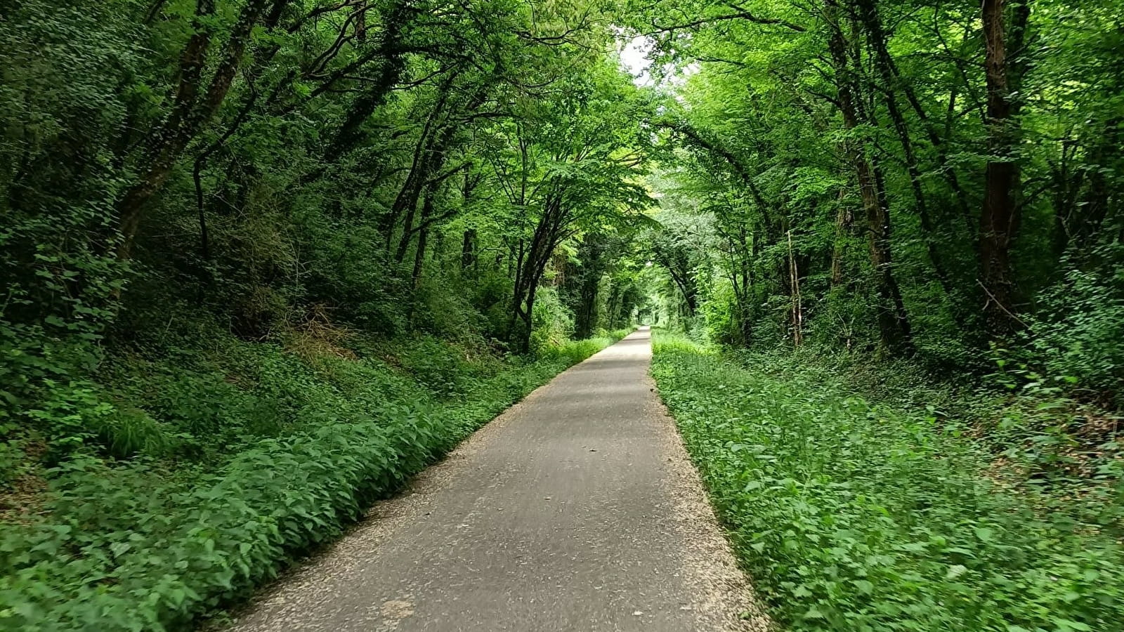 Circuit du Bois des Cantons