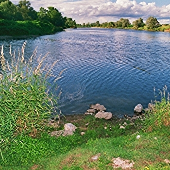 Boucle A5 : La balade des étangs - MARCIGNY