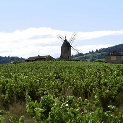 Caveau du Moulin-à-Vent