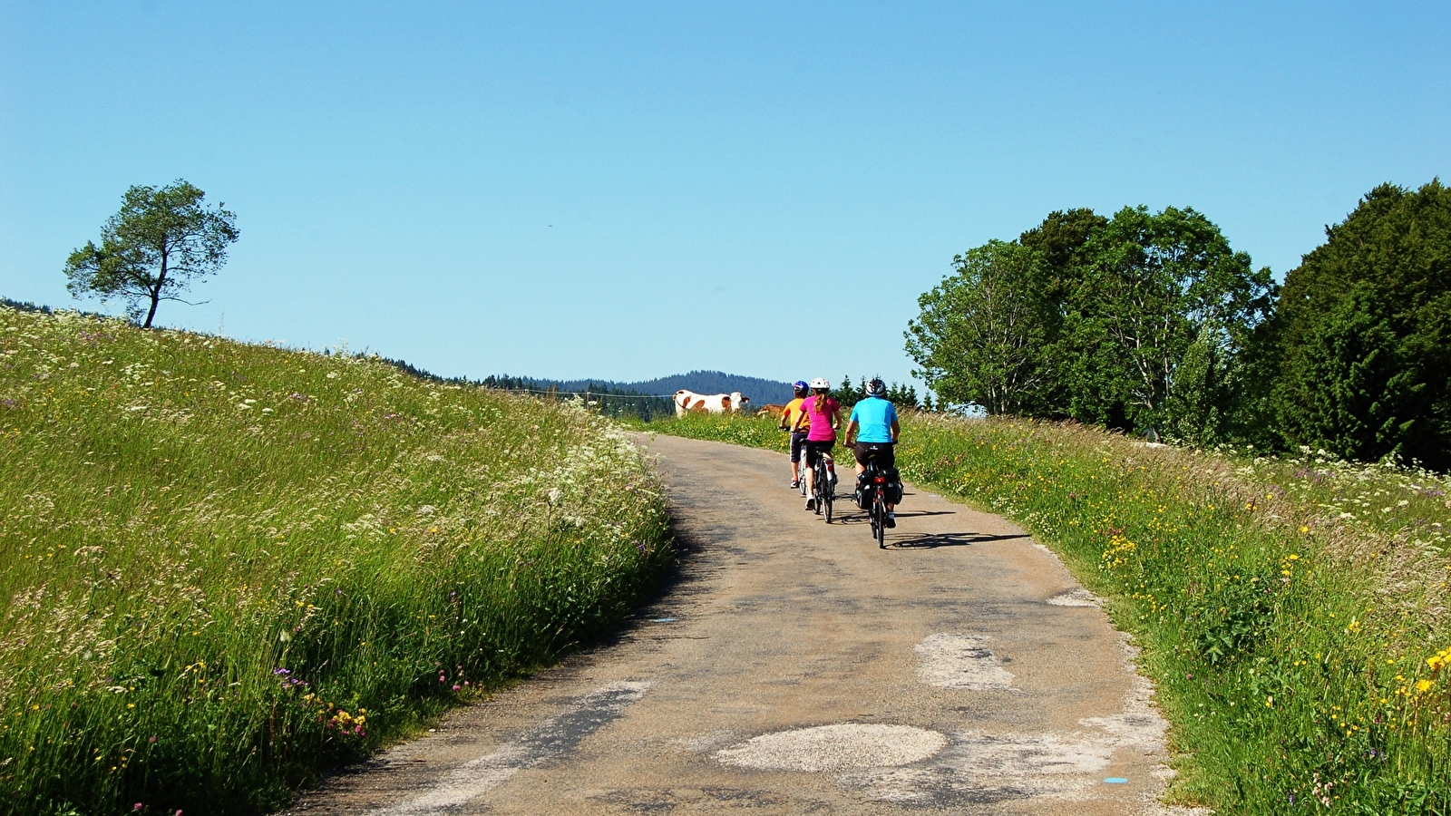 Liaisons VTC et VTT entre les villages du Grandvaux