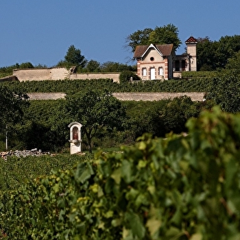 Les Maisons du dimanche : un voyage dans le temps - MEURSAULT