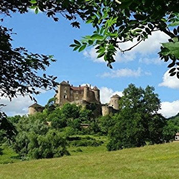 Forteresse de Berzé - BERZE-LE-CHATEL