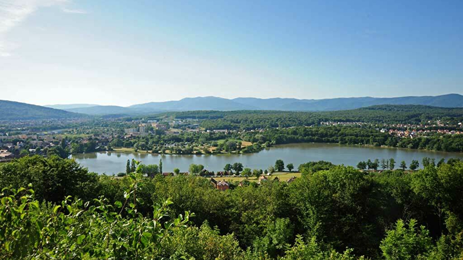 Le sentier de la Roselière