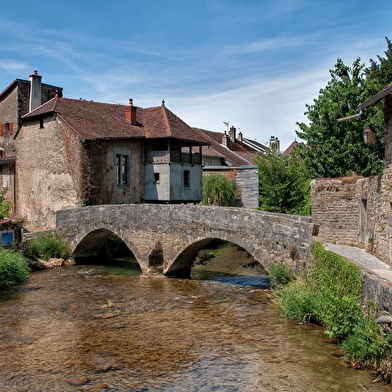 Balade en Arbois