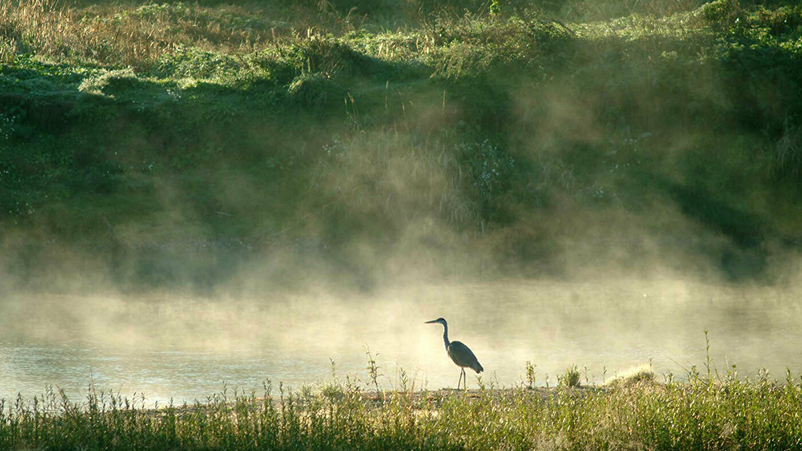 La Réserve Naturelle du Val de Loire