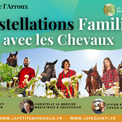 Constellations Familiales & Chamaniques assistées par les chevaux