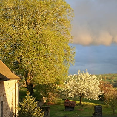 Domaine Croix de la Fleur