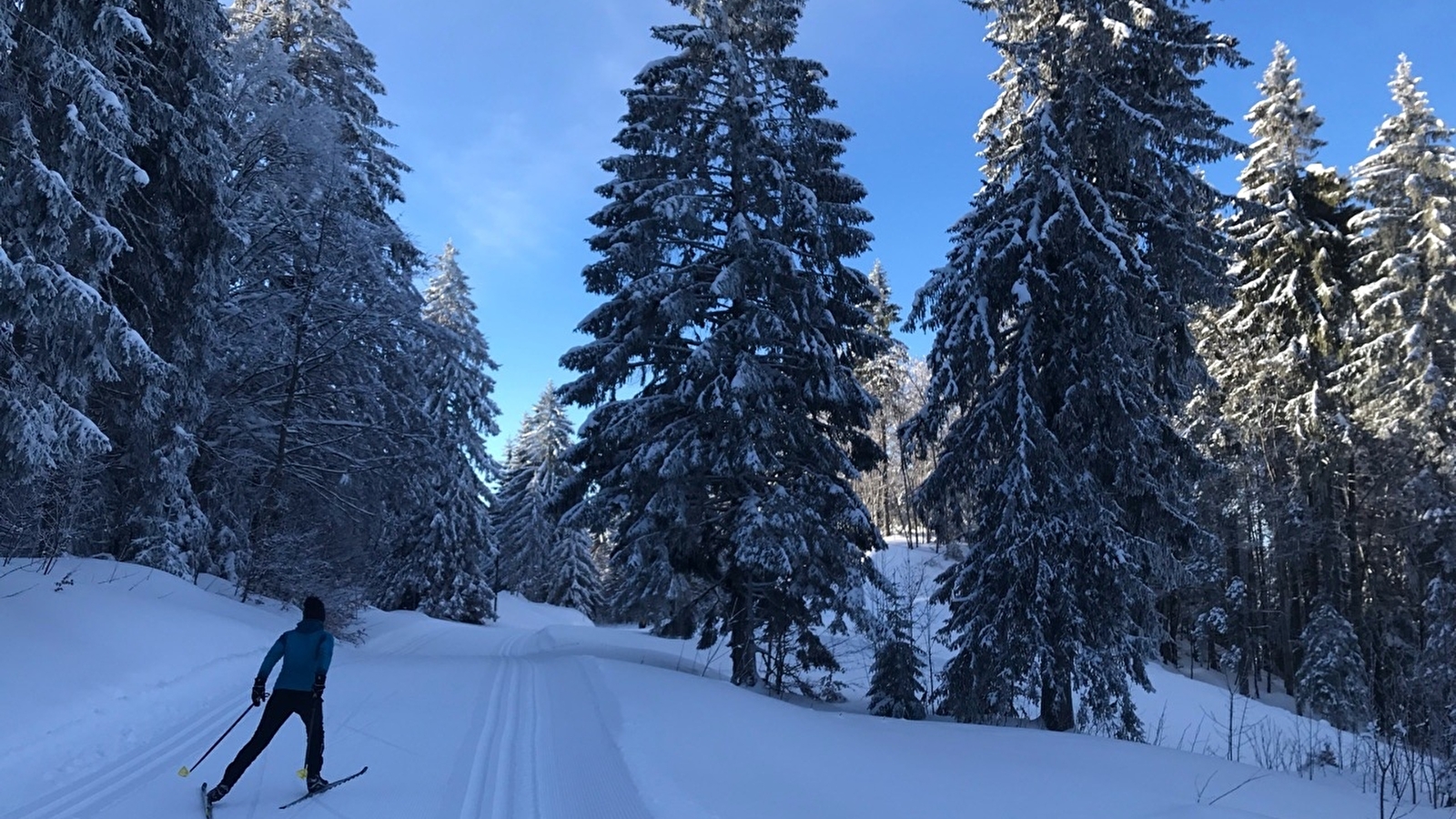 Site Nordique de la Pesse - Hautes Combes