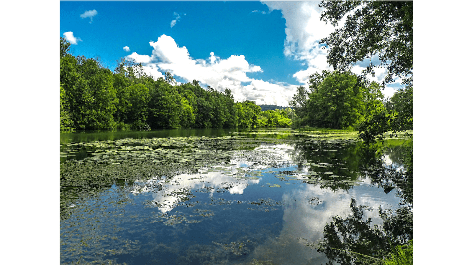 Sentier des Essarts