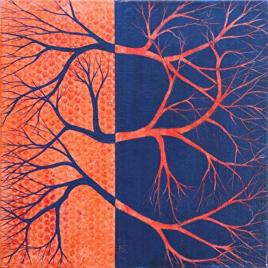 Caroline Varlot, artiste visuelle